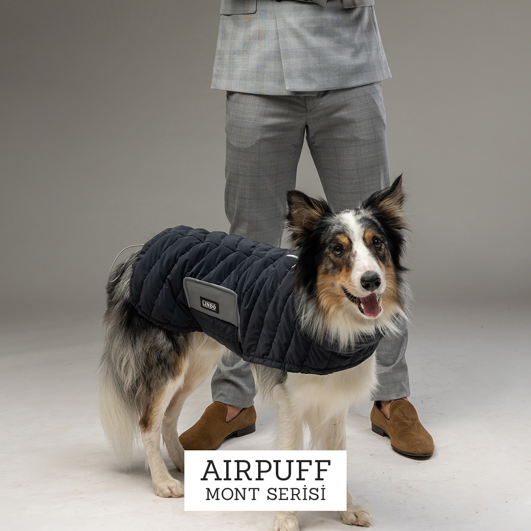 Air Puff Köpek Montu