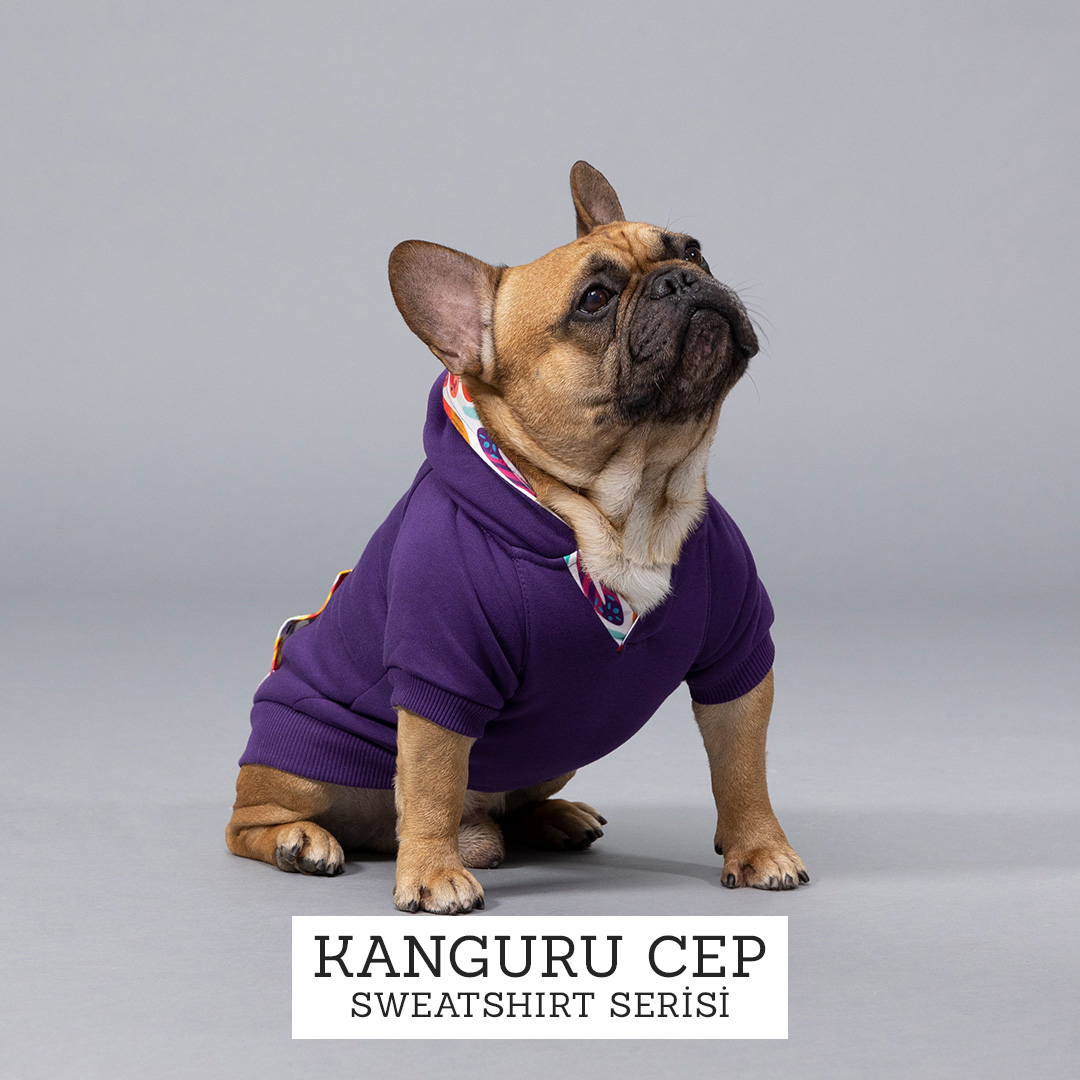 Kanguru Cep Köpek Sweatshirt