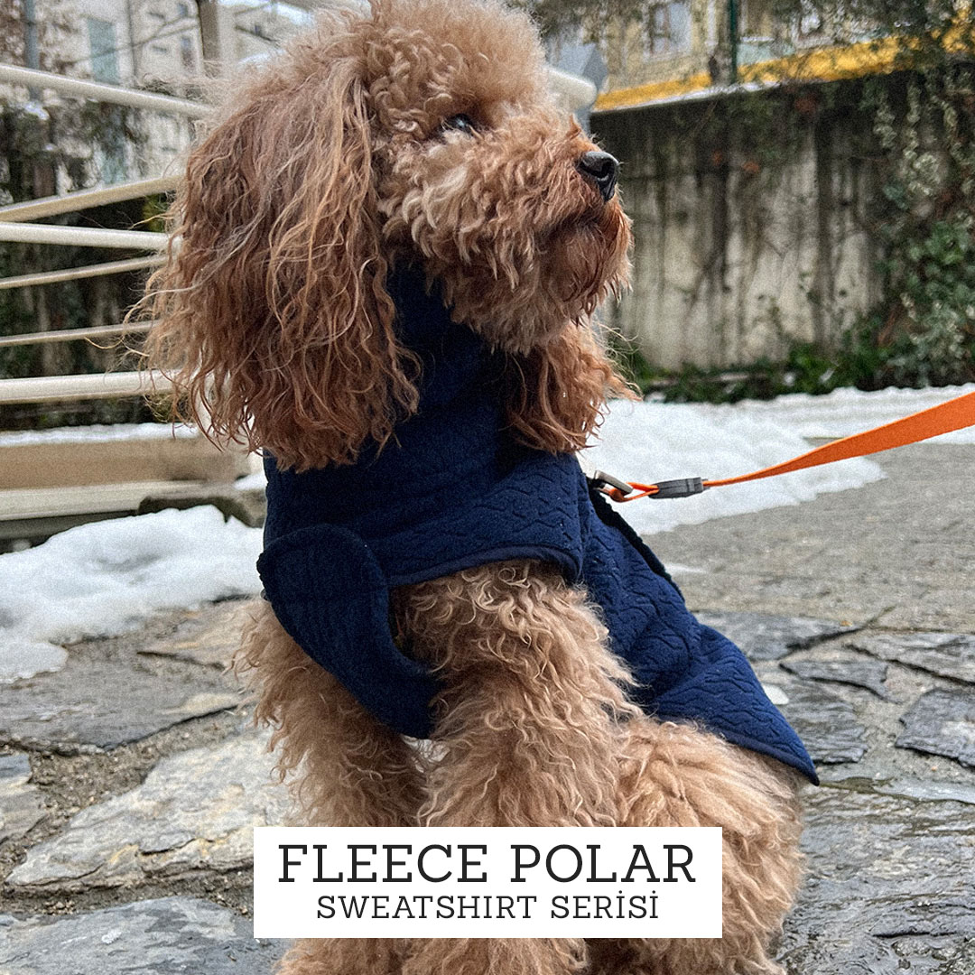 Polar Köpek Sweatshirt