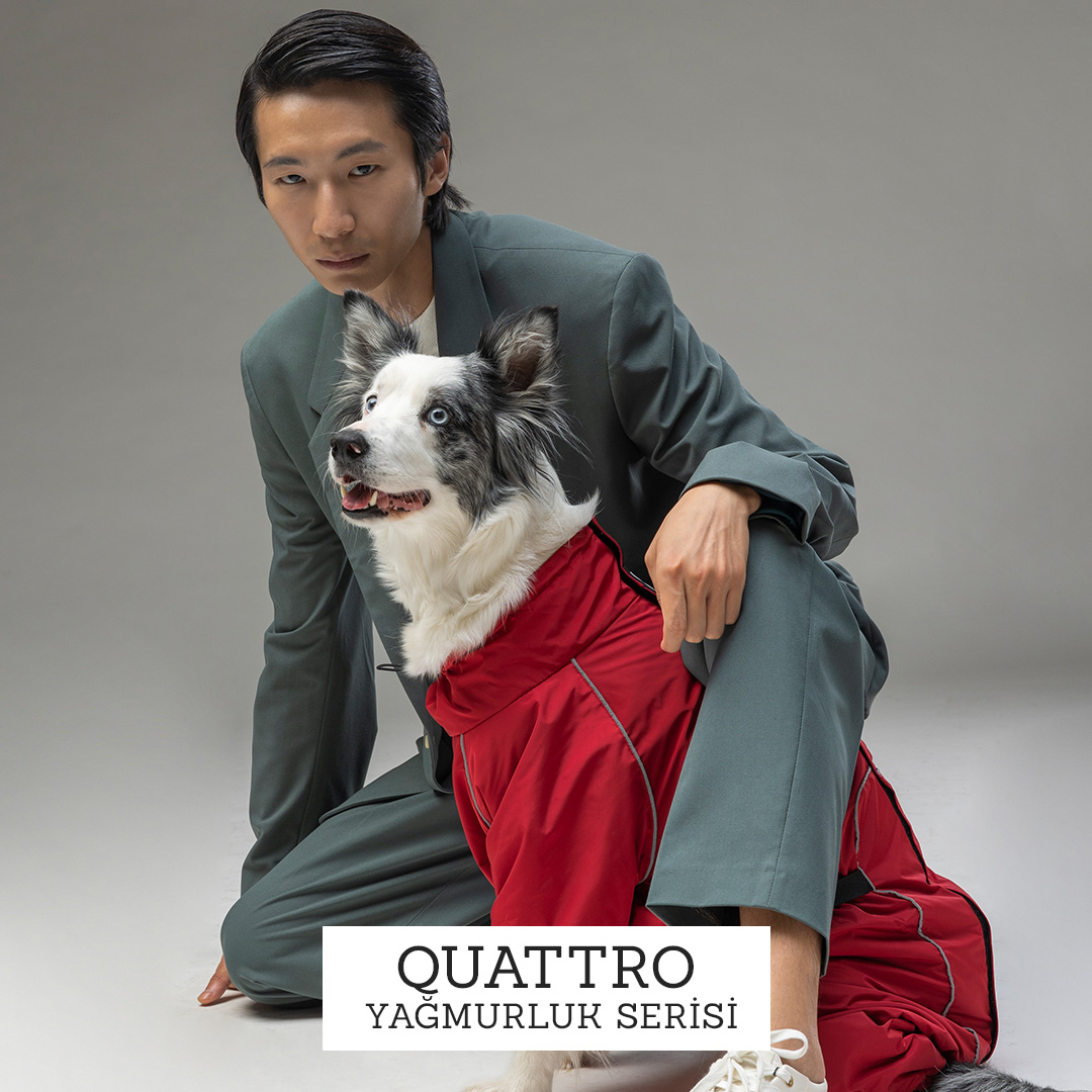 Quattro Köpek Yağmurluğu