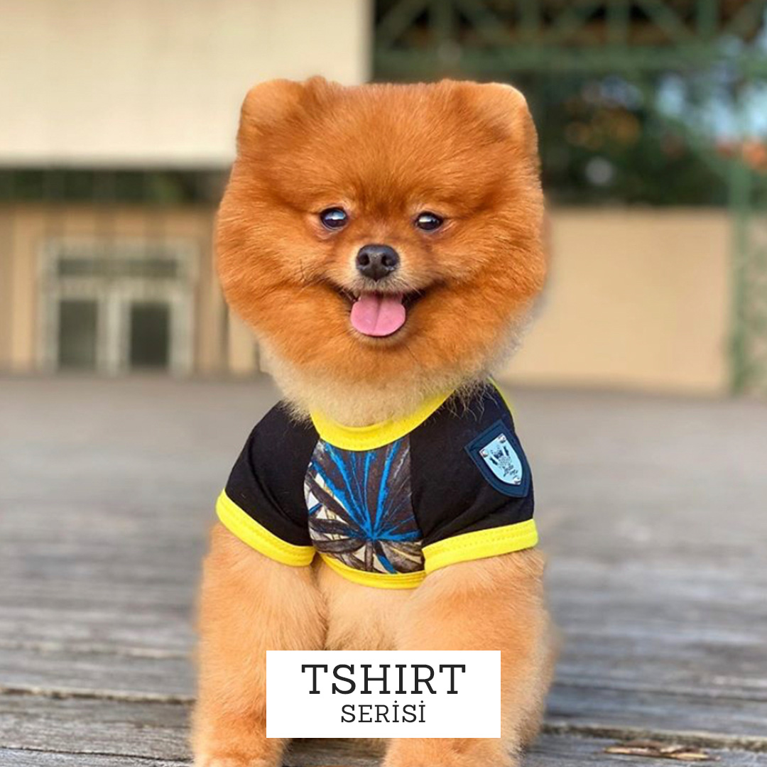 Köpek Tshirt