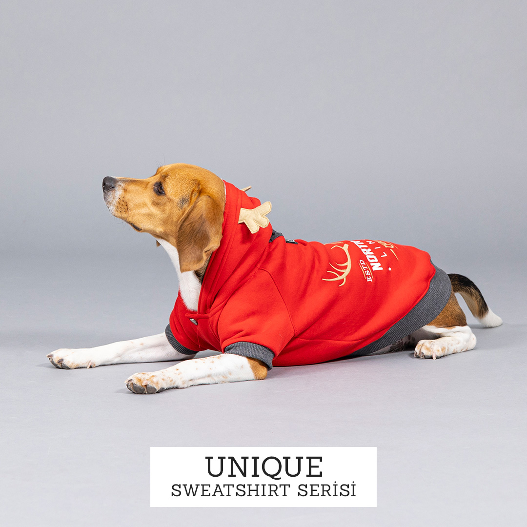 Unique Köpek Sweatshirt