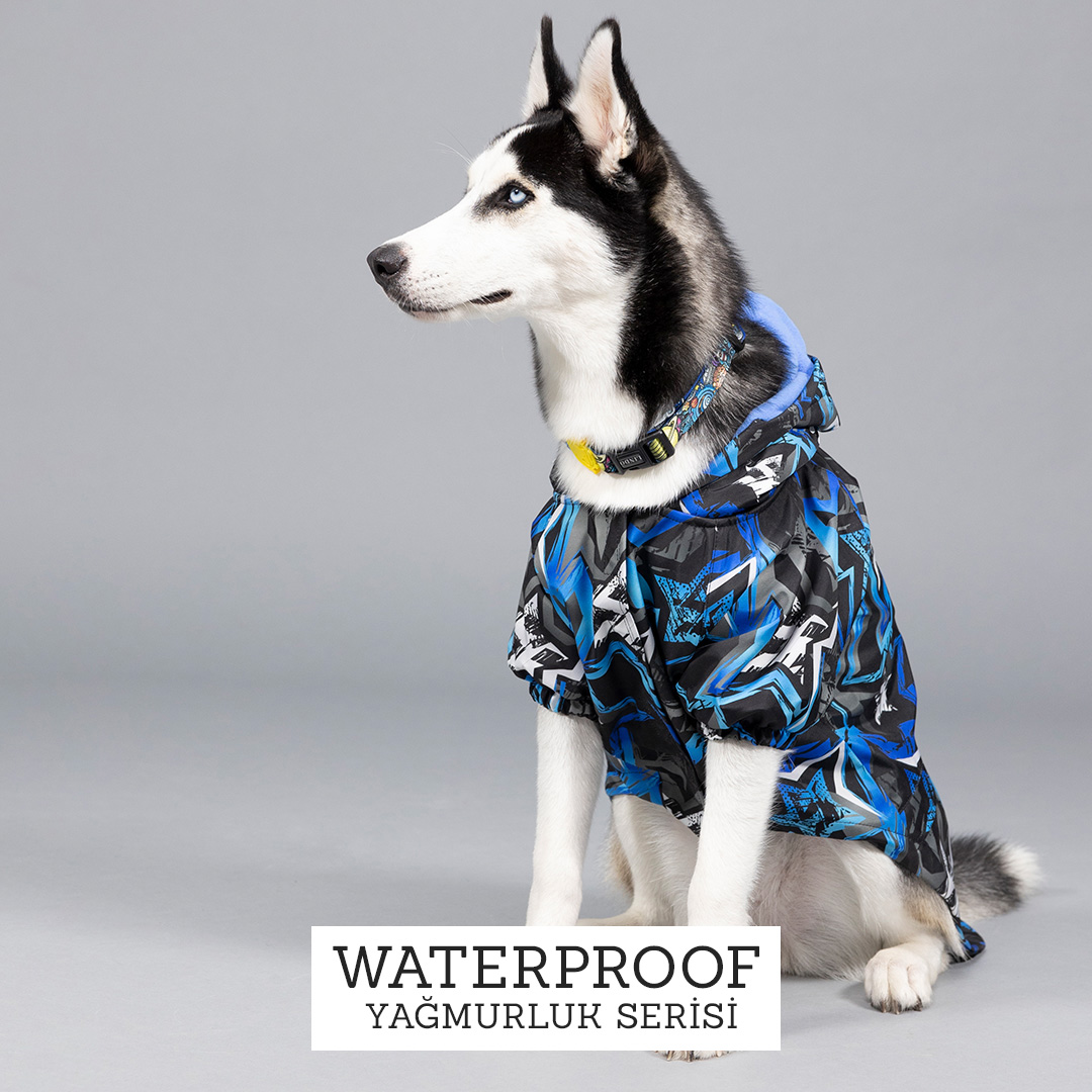 Waterproof Köpek Yağmurluğu