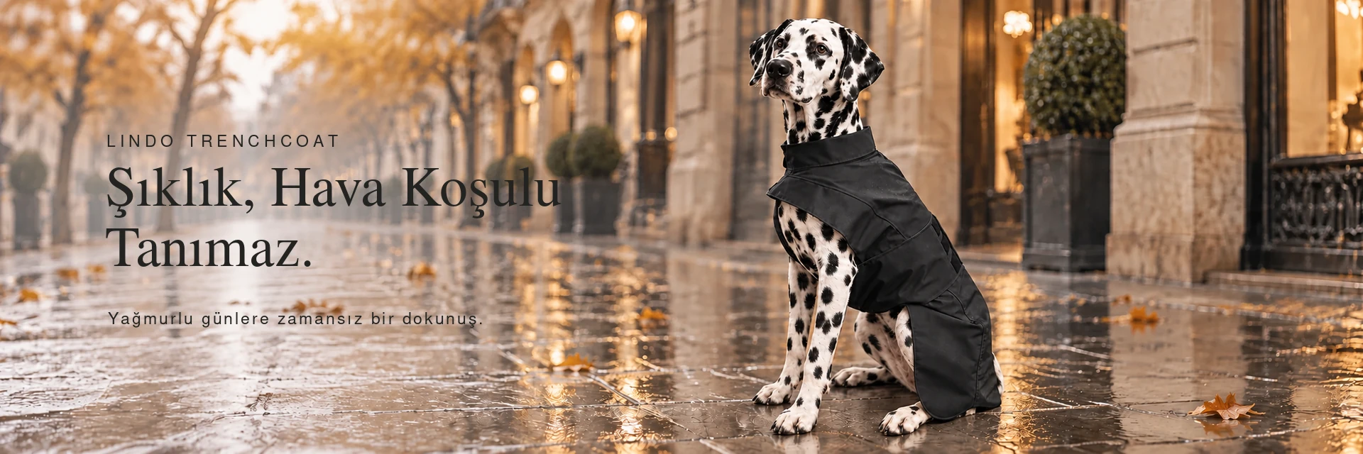 Lindo Trenchcoat — Koleksiyonu keşfet