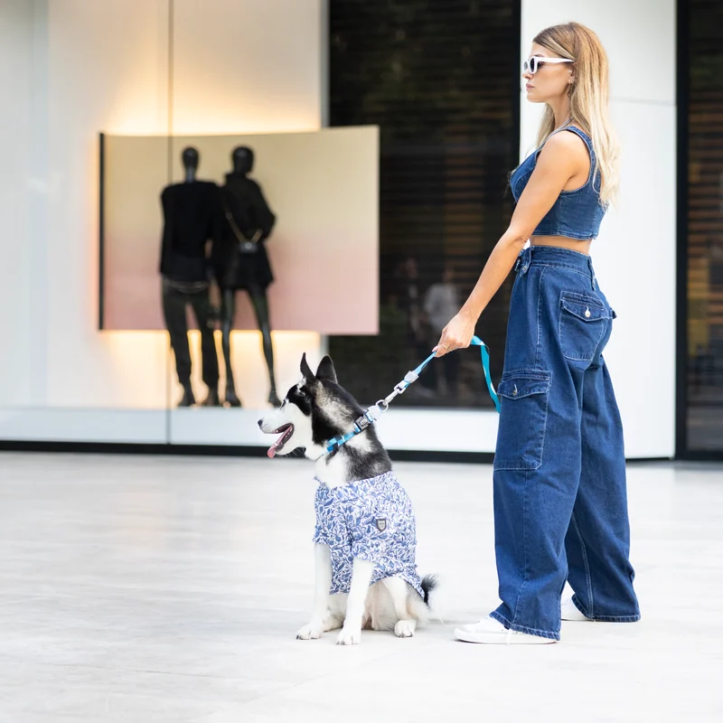 A person walking a Husky on a lead