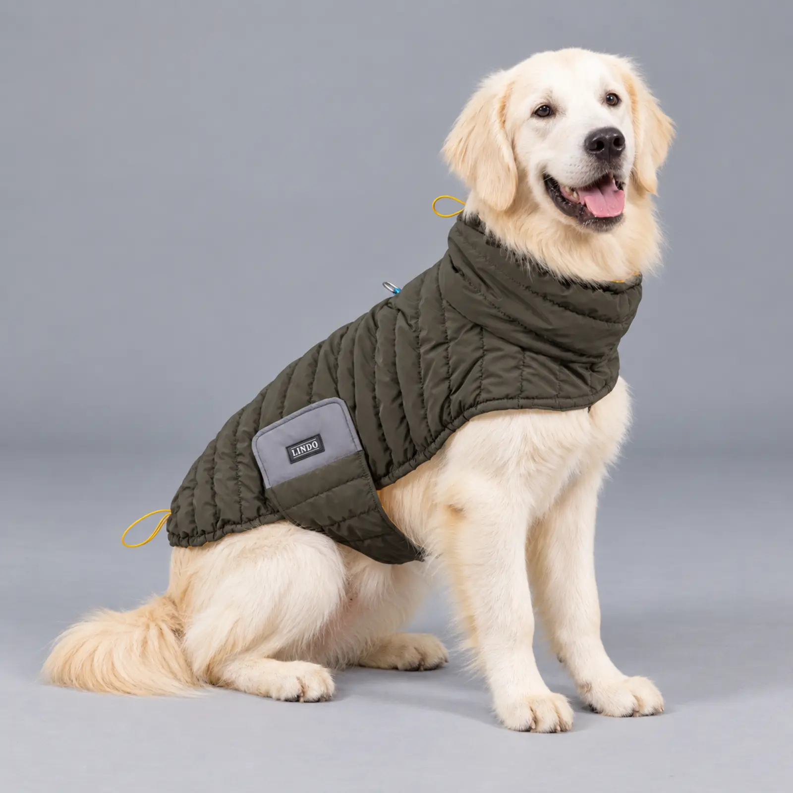 Air Puff — köpek üzerinde