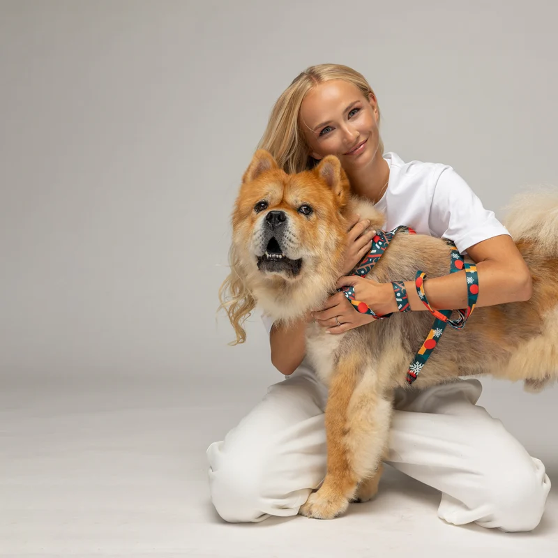 Lindo tasma ve göğüs tasmasıyla köpek ve arkadaşı