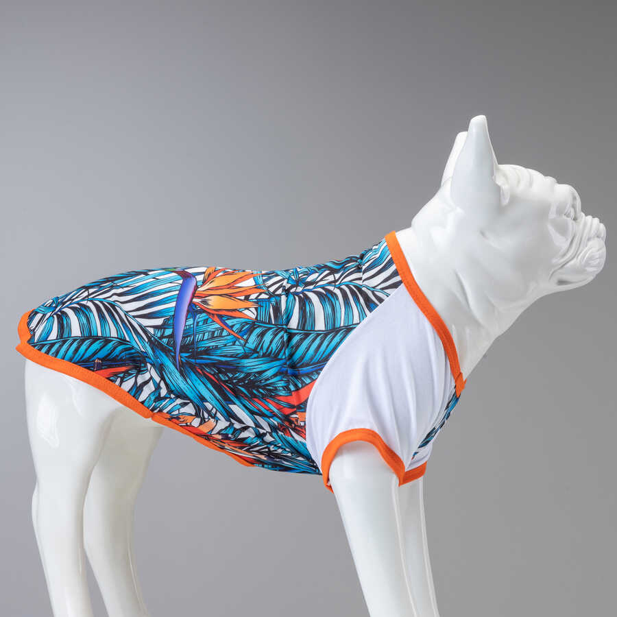 Amazon Küçük, Orta ve Büyük Irk Köpek Tshirt