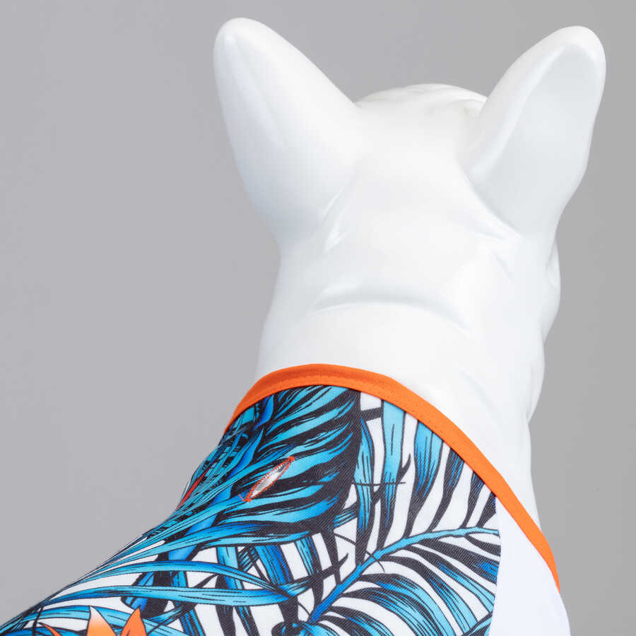 Amazon Küçük, Orta ve Büyük Irk Köpek Tshirt