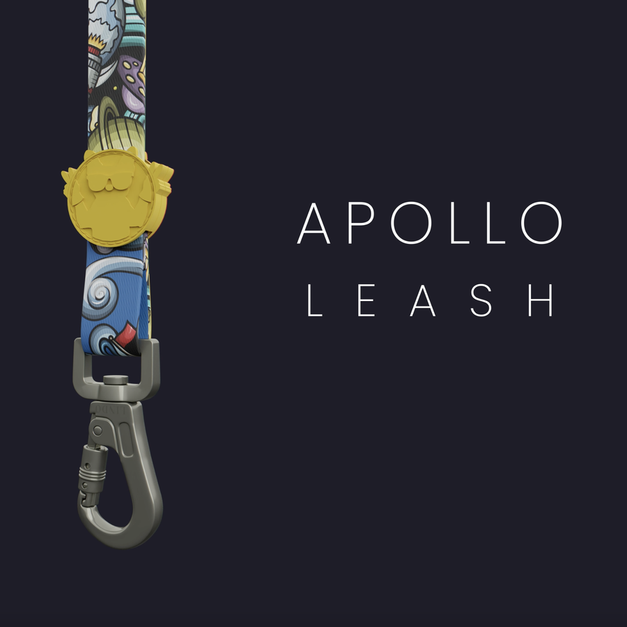 Apollo Leash