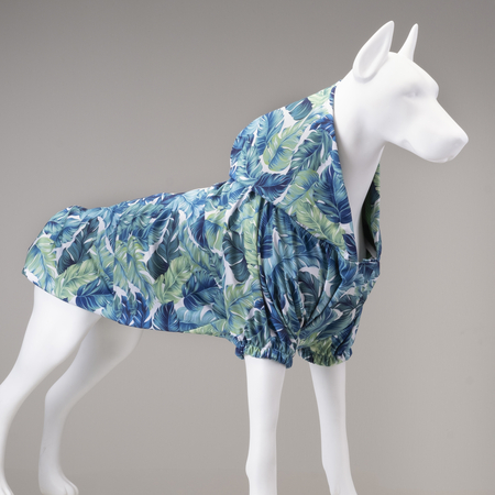 Lindodogs - Aqua Hooded Raincoat Lindodogs - Aqua Hooded Raincoat