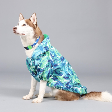 Lindodogs - Aqua Hooded Raincoat (1) Lindodogs - Aqua Hooded Raincoat (1)