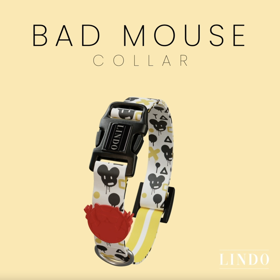 Bad Mouse Boyun Tasması