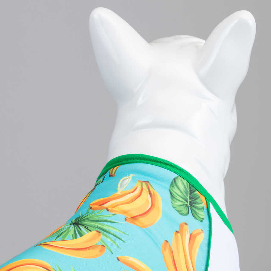 Banana Küçük, Orta ve Büyük Irk Köpek Tshirt