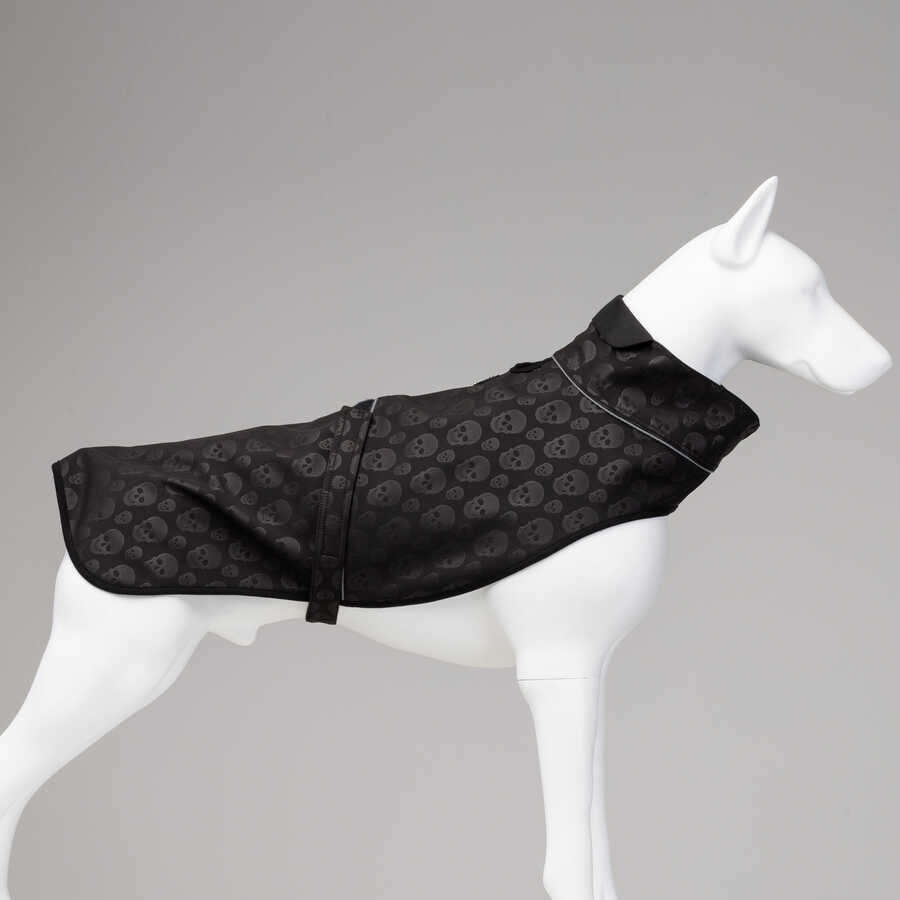 Louis Vuitton Dog Clothes  Etsy