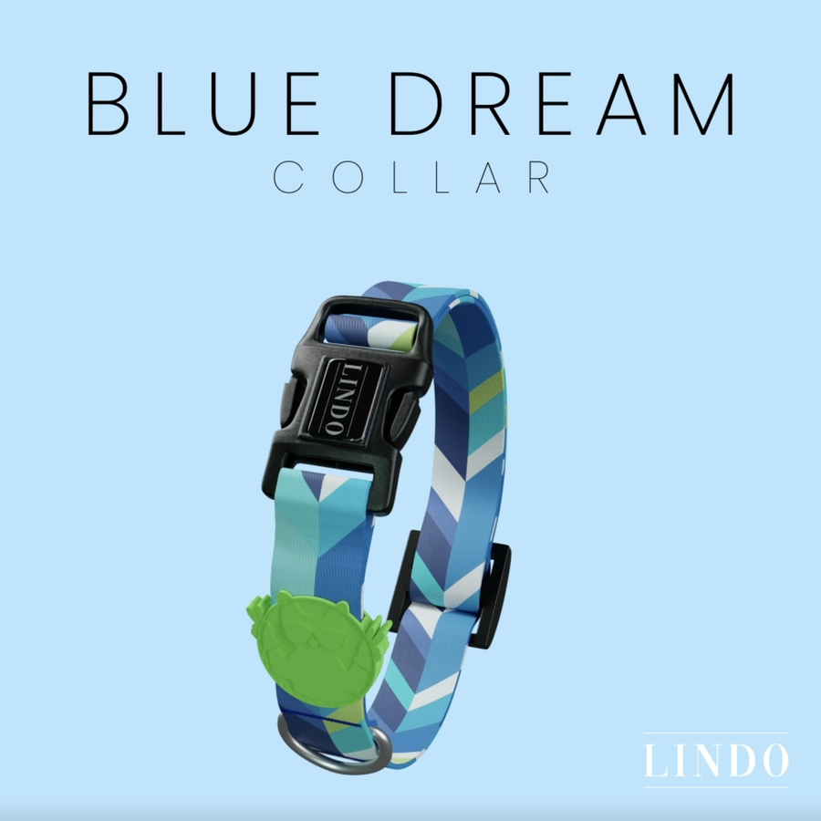 Blue Dream Collar
