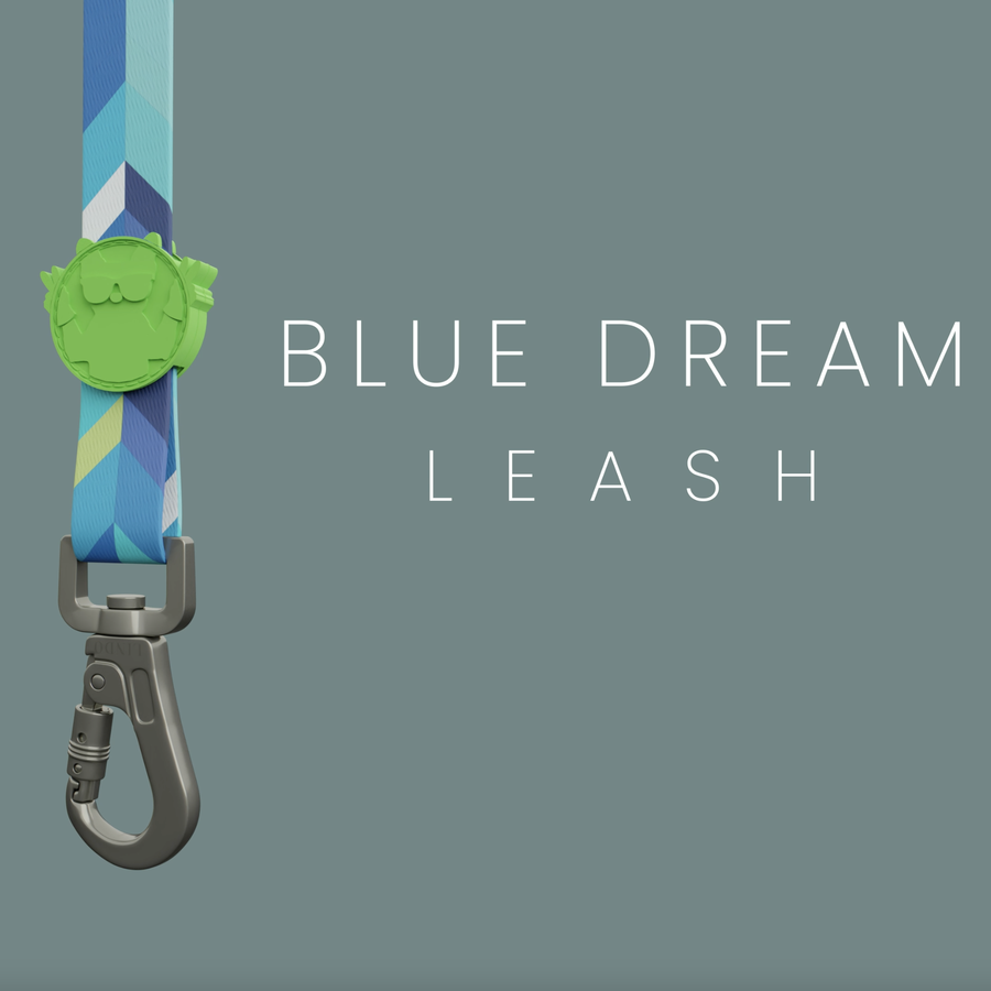 Blue Dream Leash