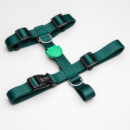 Lindodogs - Brazil H Tipi Göğüs Tasması Lindodogs - Brazil H Tipi Göğüs Tasması