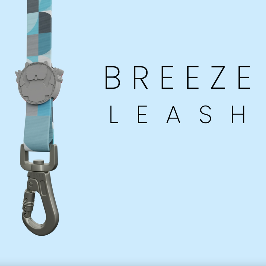 Breeze Gezdirme Tasması