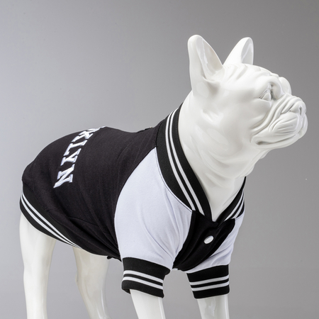 Lindodogs - Brooklyn College Sweatshirt Lindodogs - Brooklyn College Sweatshirt