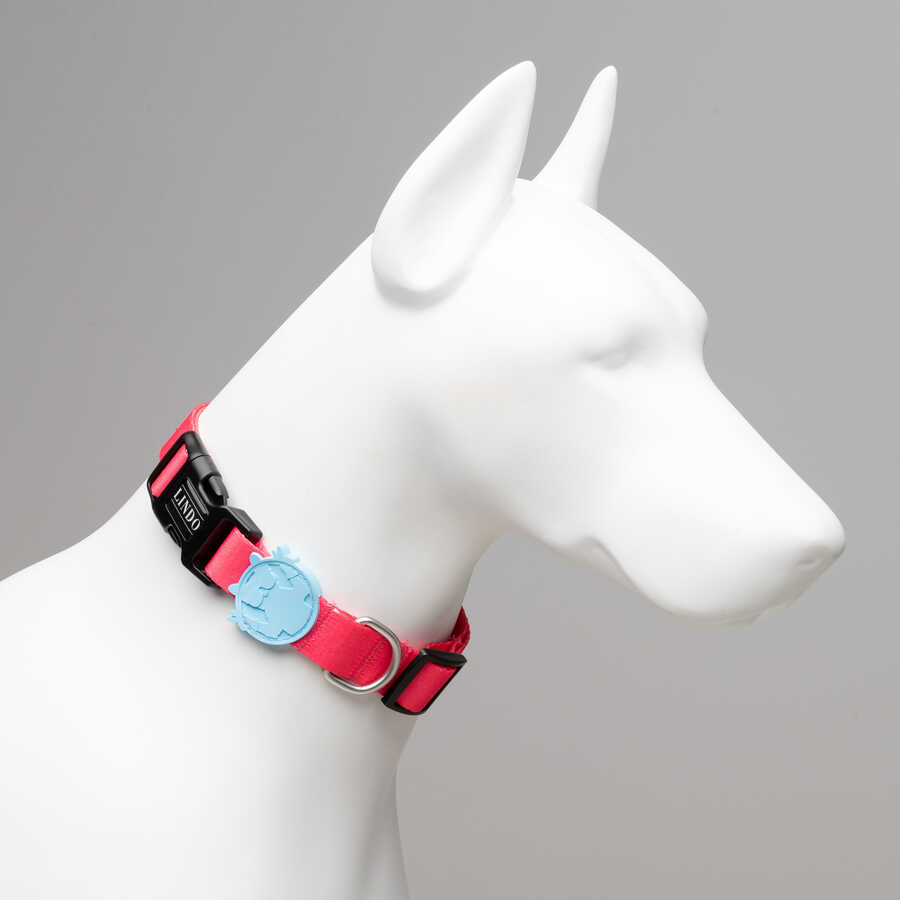 Bubble Collar