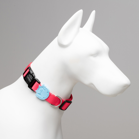 Lindodogs - Bubble Collar (1) Lindodogs - Bubble Collar (1)