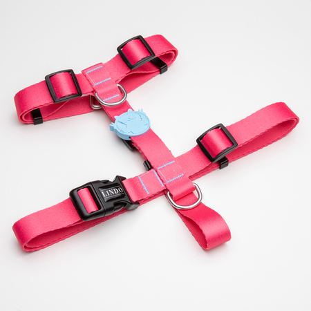 Lindodogs - Bubble H Tipi Göğüs Tasması Lindodogs - Bubble H Tipi Göğüs Tasması