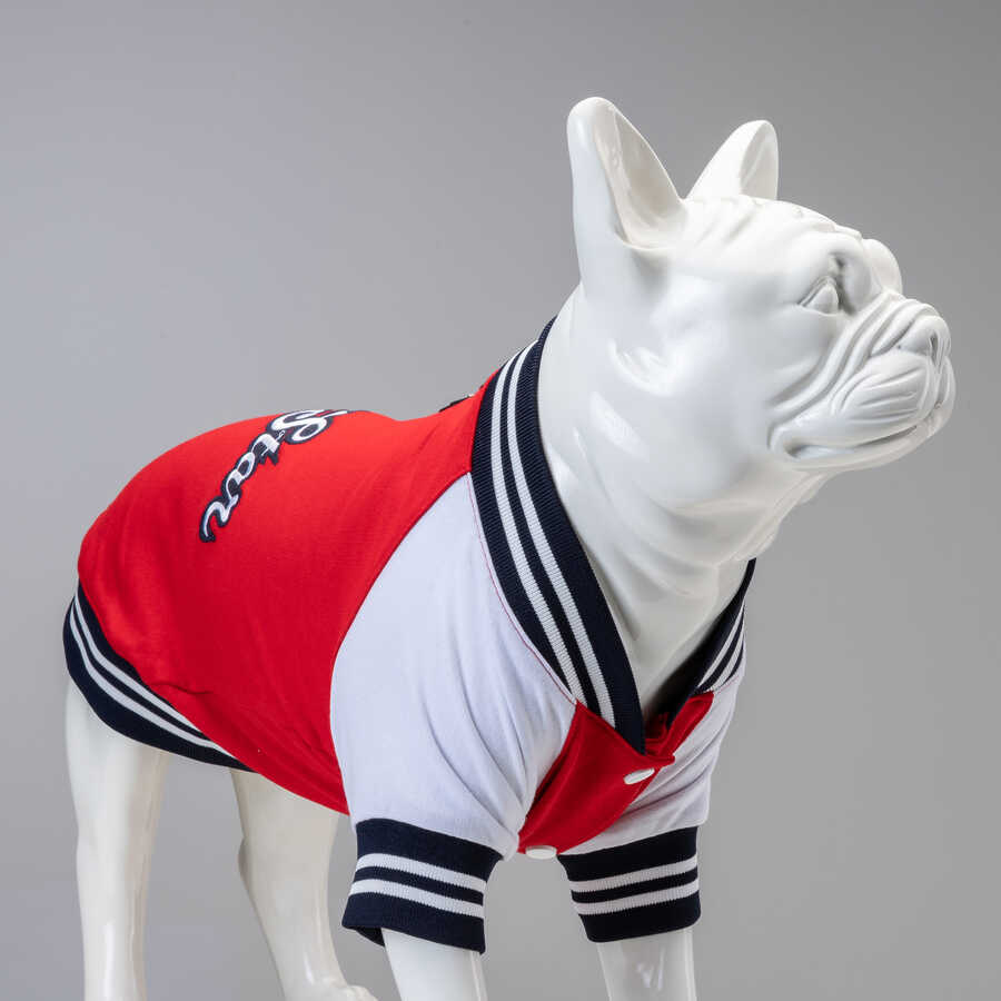 College Allstar Küçük Orta ve Büyük Irk Köpek Sweatshirt