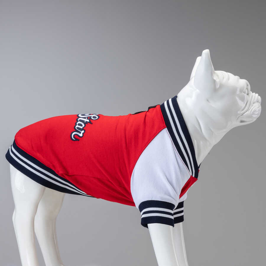 College Allstar Küçük Orta ve Büyük Irk Köpek Sweatshirt