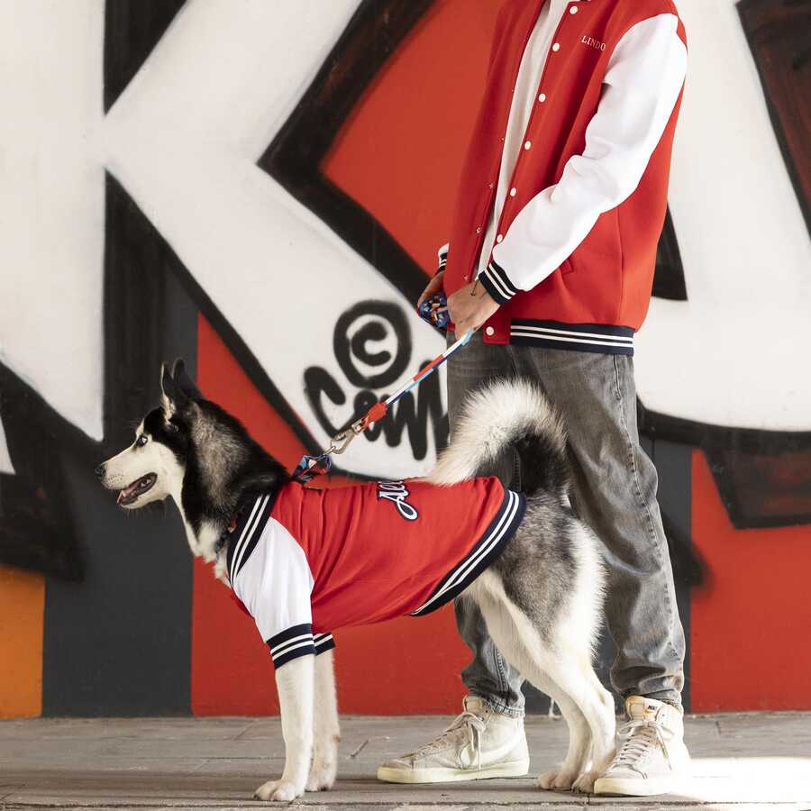 College Allstar Küçük Orta ve Büyük Irk Köpek Sweatshirt