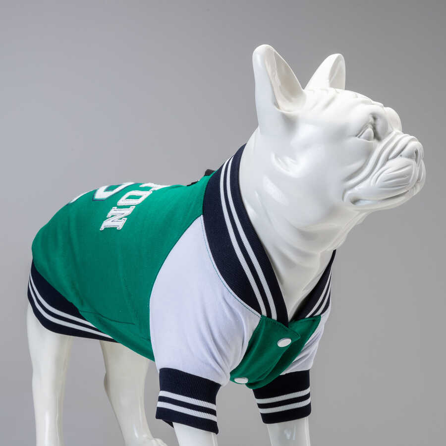 College Boston Küçük Orta ve Büyük Irk Köpek Sweatshirt