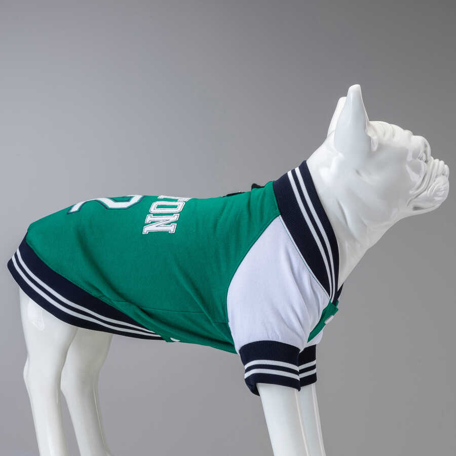 College Boston Küçük Orta ve Büyük Irk Köpek Sweatshirt