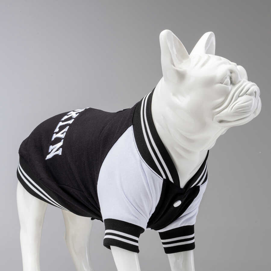 College Brooklyn Küçük Orta ve Büyük Irk Köpek Sweatshirt