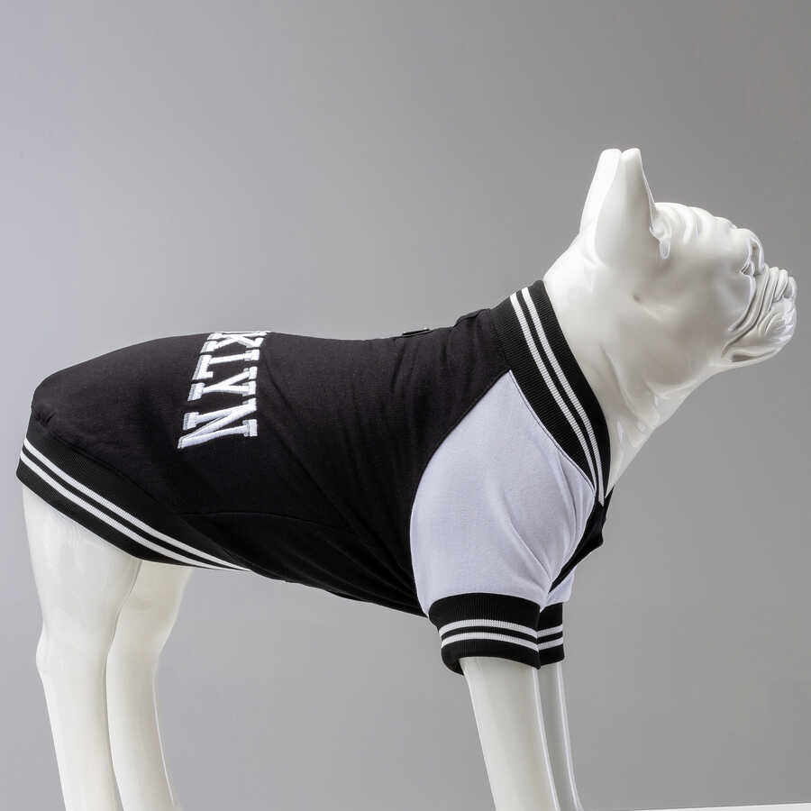 College Brooklyn Küçük Orta ve Büyük Irk Köpek Sweatshirt
