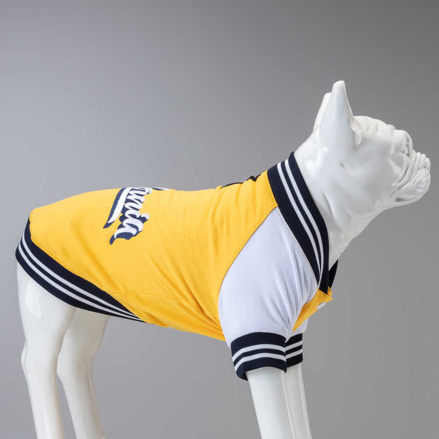 College California Küçük Orta ve Büyük Irk Köpek Sweatshirt