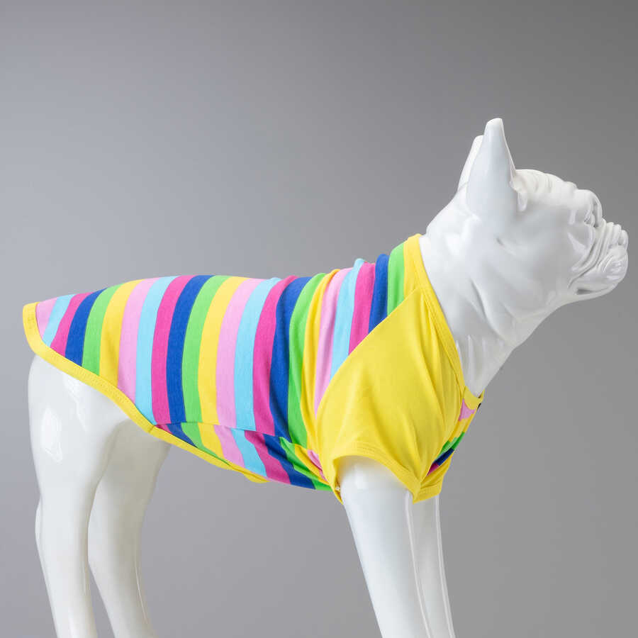Color Box Küçük, Orta ve Büyük Irk Köpek Tshirt