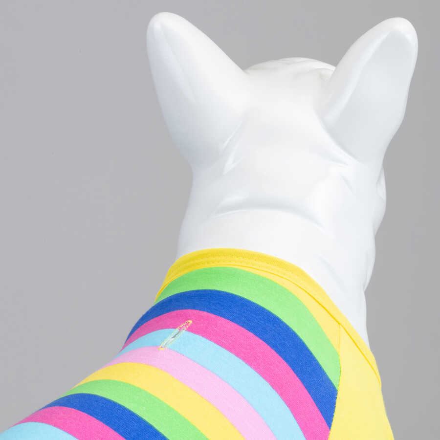 Color Box Küçük, Orta ve Büyük Irk Köpek Tshirt