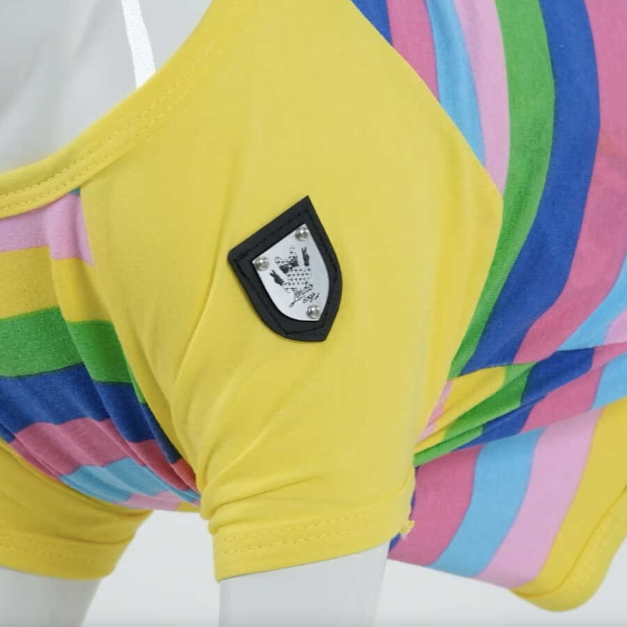 Color Box Küçük, Orta ve Büyük Irk Köpek Tshirt