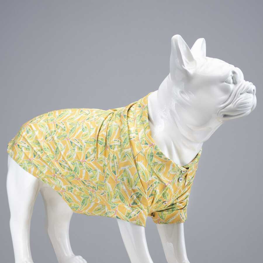 Cool Lime Küçük ve Orta Irk Köpek Gömleği
