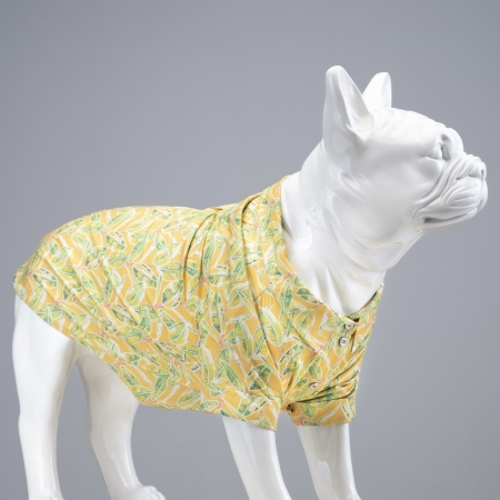 Lindodogs - Cool Lime Küçük ve Orta Irk Köpek Gömleği Lindodogs - Cool Lime Küçük ve Orta Irk Köpek Gömleği