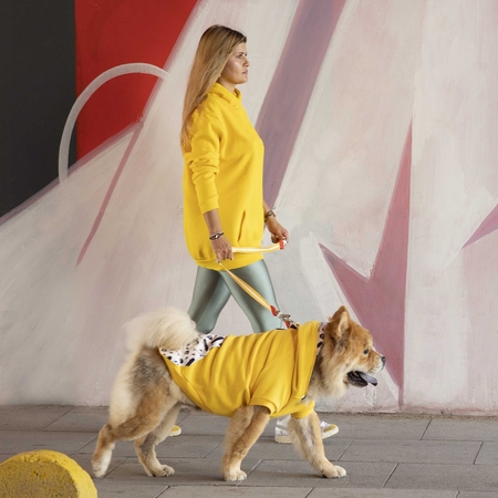 Lindodogs - Freedom Küçük, Orta ve Büyük Irk Köpek Sweatshirt (1)