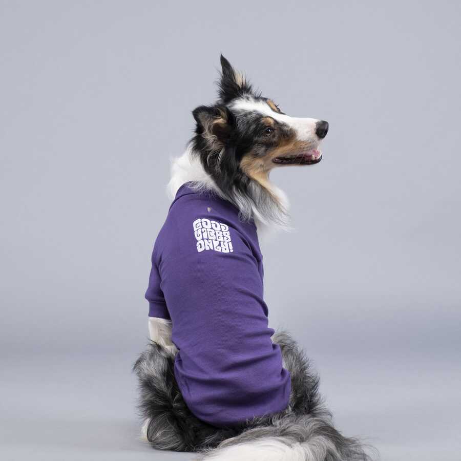 Good Vibes Only Küçük ve Orta Irk Köpek Tshirt
