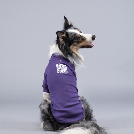 Lindodogs - Flex Good Vibes Only Küçük ve Orta Irk Köpek Tshirt (1) Lindodogs - Flex Good Vibes Only Küçük ve Orta Irk Köpek Tshirt (1)