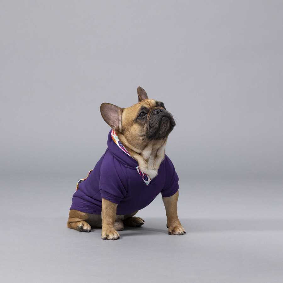 Indian Küçük, Orta ve Büyük Irk Köpek Sweatshirt