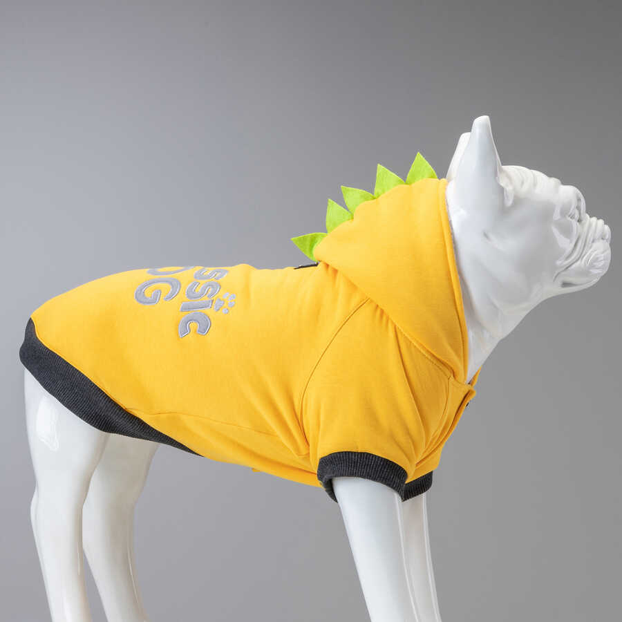 Jurassic Dog Küçük ve Orta Irk Köpek Sweatshirt