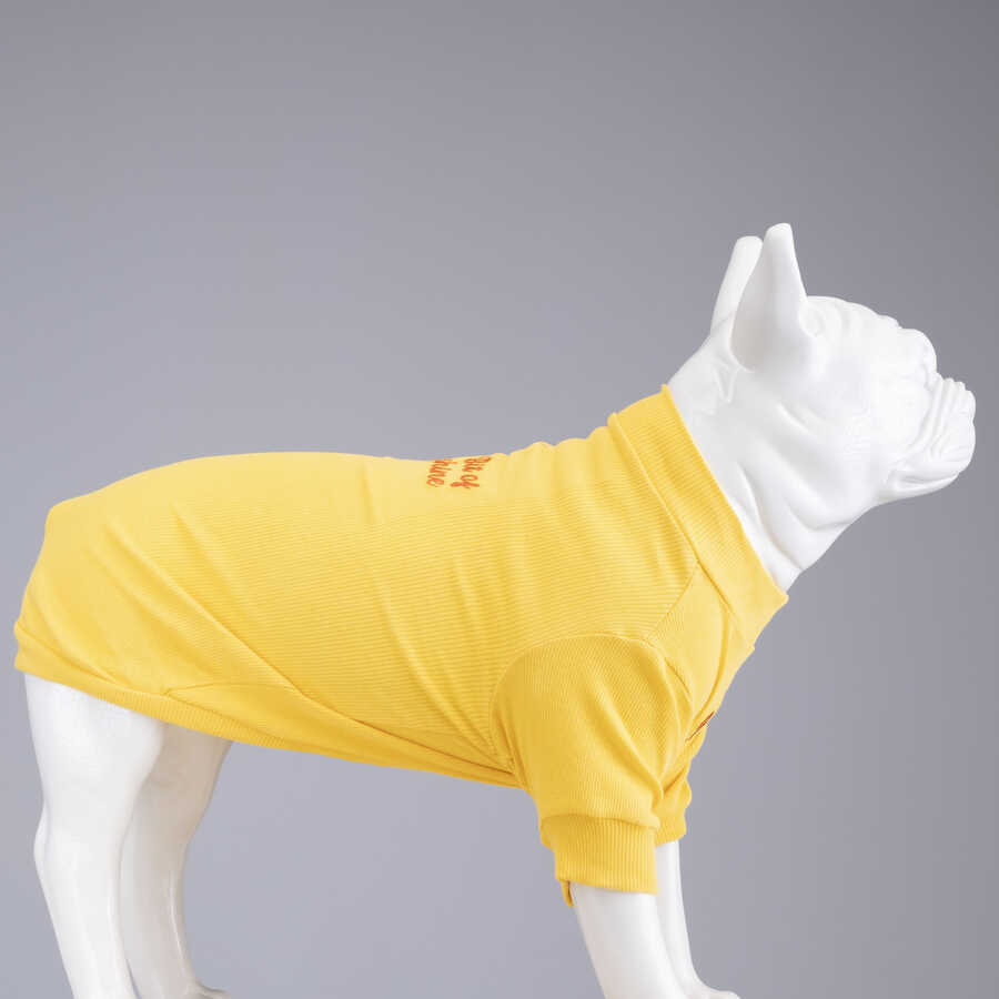 Little Bit of Sunshine Küçük ve Orta Irk Köpek Tshirt