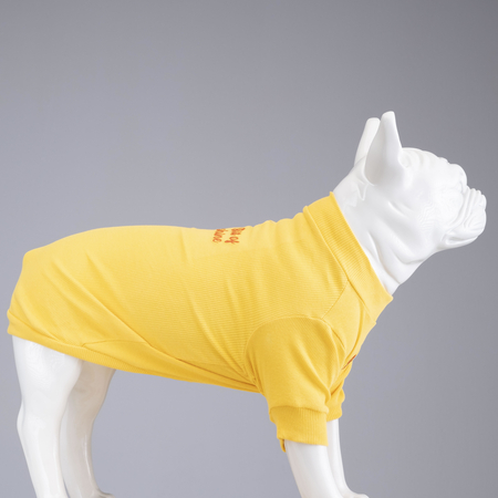 Lindodogs - Flex Little Bit of Sunshine Küçük ve Orta Irk Köpek Tshirt Lindodogs - Flex Little Bit of Sunshine Küçük ve Orta Irk Köpek Tshirt