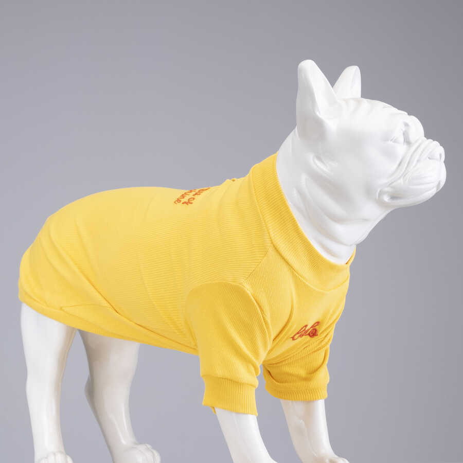 Little Bit of Sunshine Küçük ve Orta Irk Köpek Tshirt