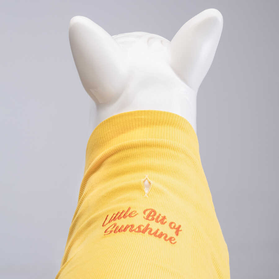 Little Bit of Sunshine Küçük ve Orta Irk Köpek Tshirt