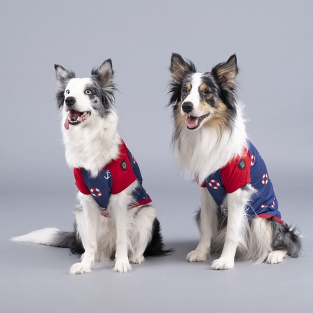 Lindodogs - Little Sailer Flex Body (1)